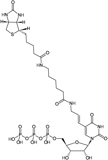Structural formula of Biotin-11-UTP