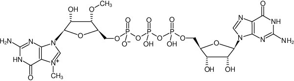 Structural formula of m<sub>2</sub><sup>7,3'-O</sup>GP<sub>3</sub>G (ARCA Cap Analog) - Solid