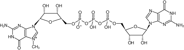Structural formula of m7GP3G (Monomethylated Cap Analog) - Solution