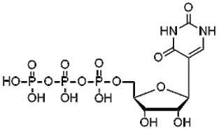 Chemical structure